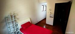 Telok Kurau Ria (D15), Terrace #502421571